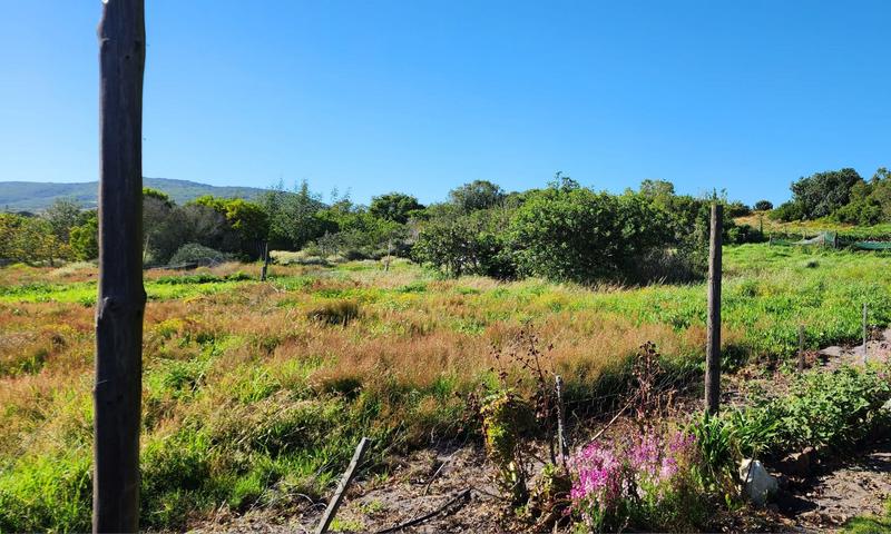 0 Bedroom Property for Sale in Albertinia Western Cape